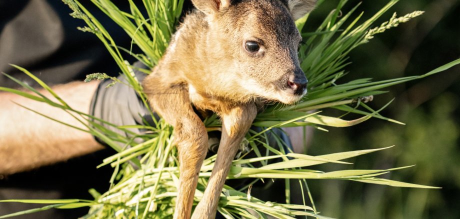 Wandern Wäller Tour Hohe Hahnscheid Ausblick Hessenblick