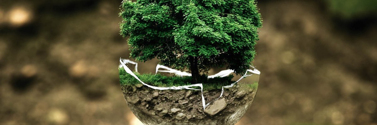 Symbolbild Umwelt- und Naturschutz